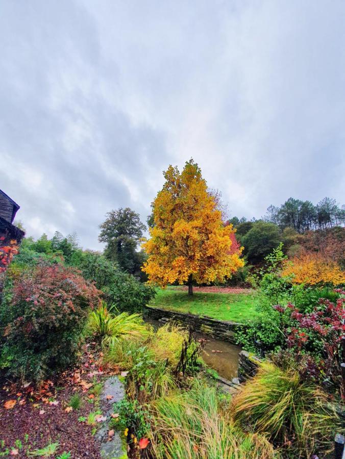 Moulin Menhirs & Zone Naturelle Protegee Saint-Just  Luaran gambar